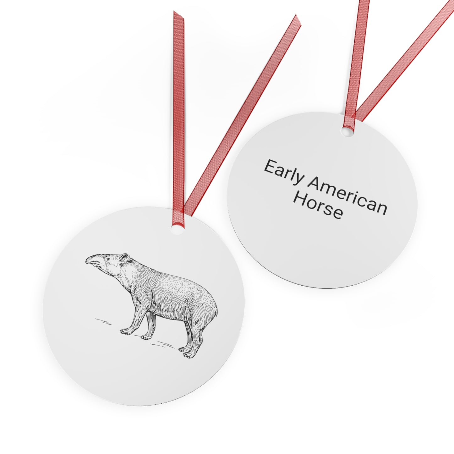 Early American Horse